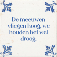 De meeuwen vliegen hoog, we houden het wel droog. - 4 keer bekeken