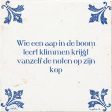 Wie een aap in de boom leert klimmen krijgt vanzelf de noten op zijn kop - 17 keer bekeken