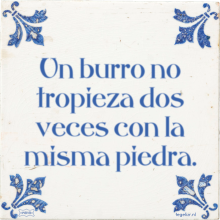 Un burro no tropieza dos veces con la misma piedra. - 2 keer bekeken