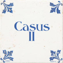Casus 11 - 21 keer bekeken